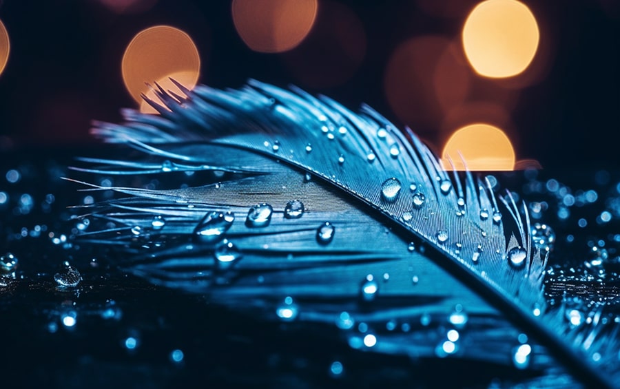 Blaue Feder mit Wassertropfen